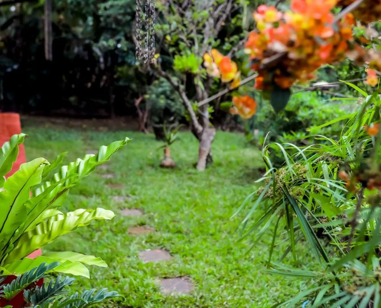 Lewle Residency Apartment Kandy Homestay